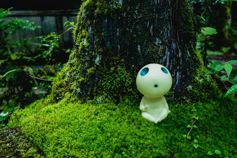 tượng Mộc Linh ở Yakushima tượng Mộc Linh ở Yakushima